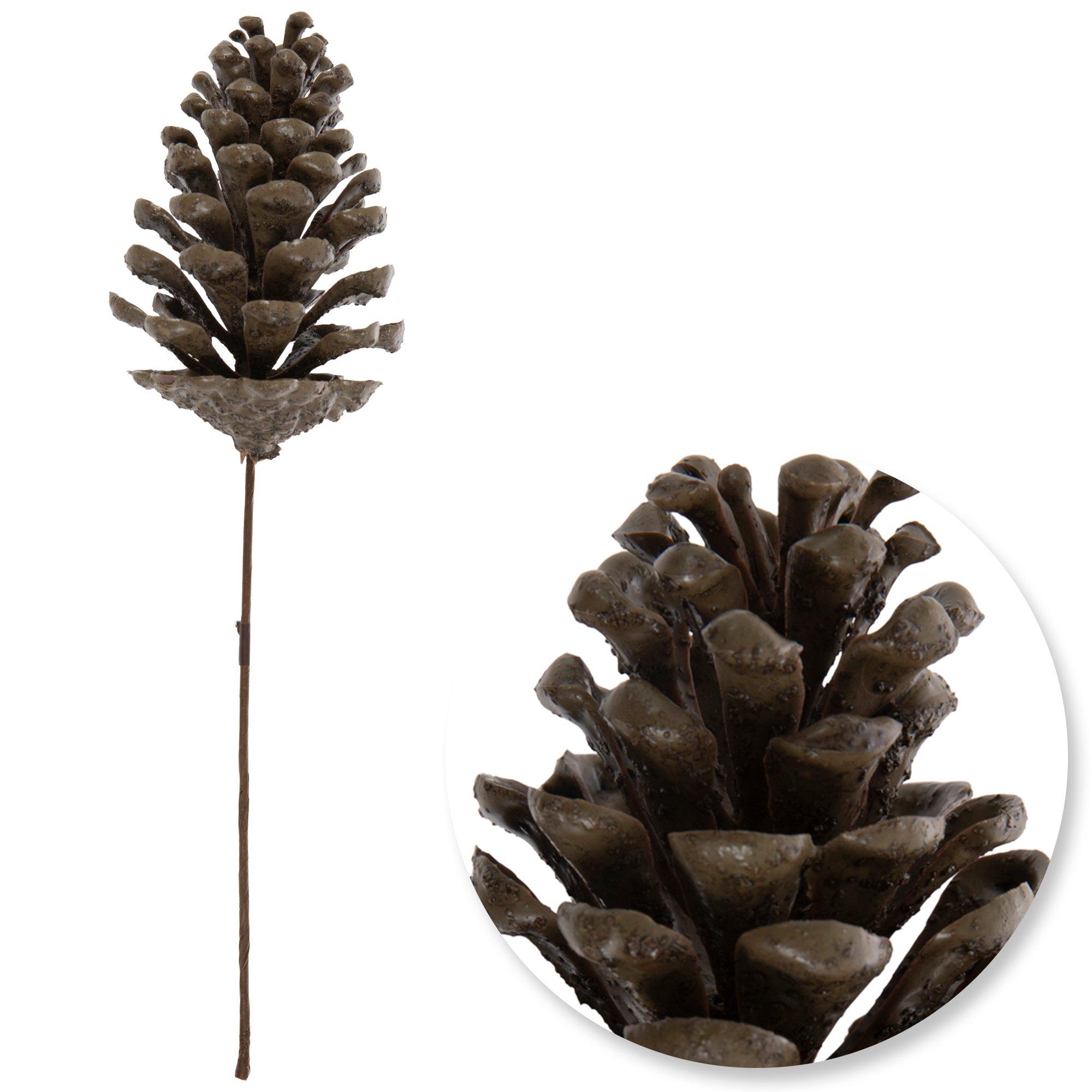 Selected Product Image