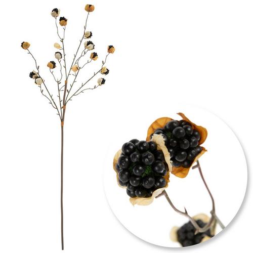 Blackberry Spray