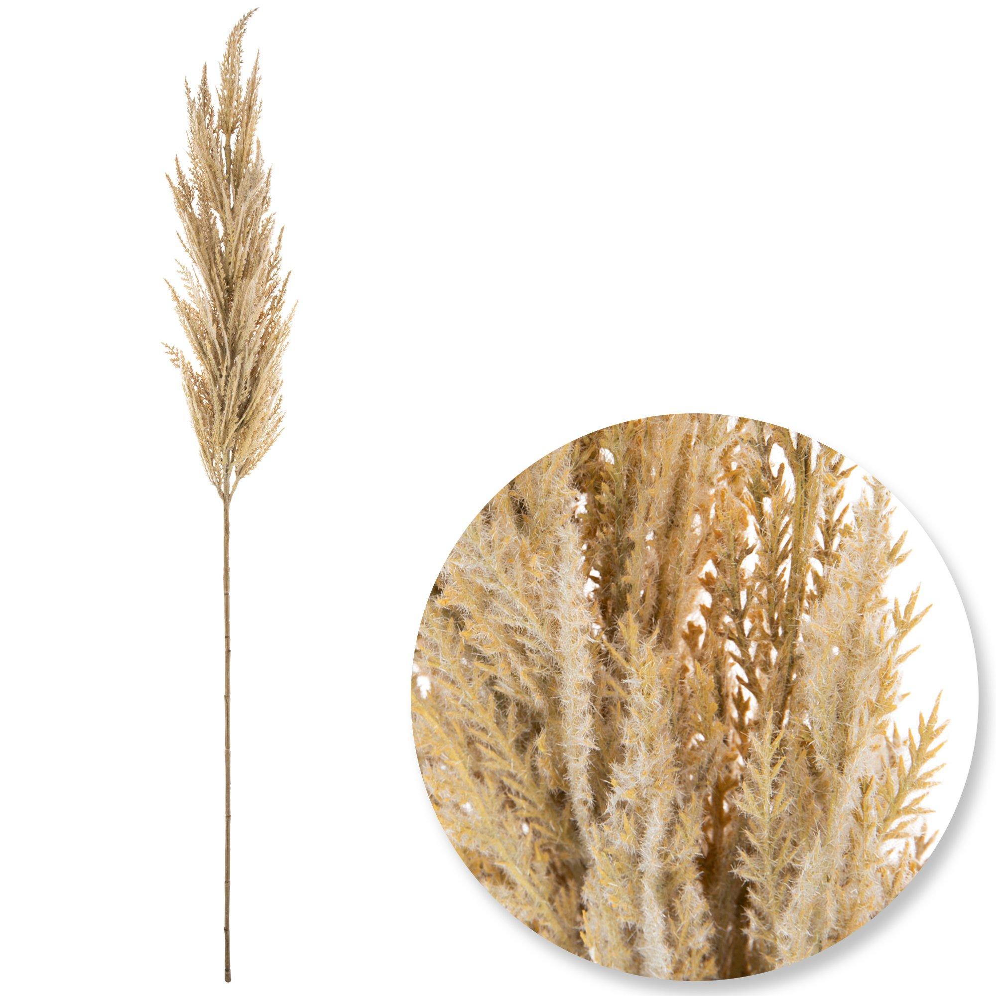 Pampas Grass Spray Hobby Lobby 5307285