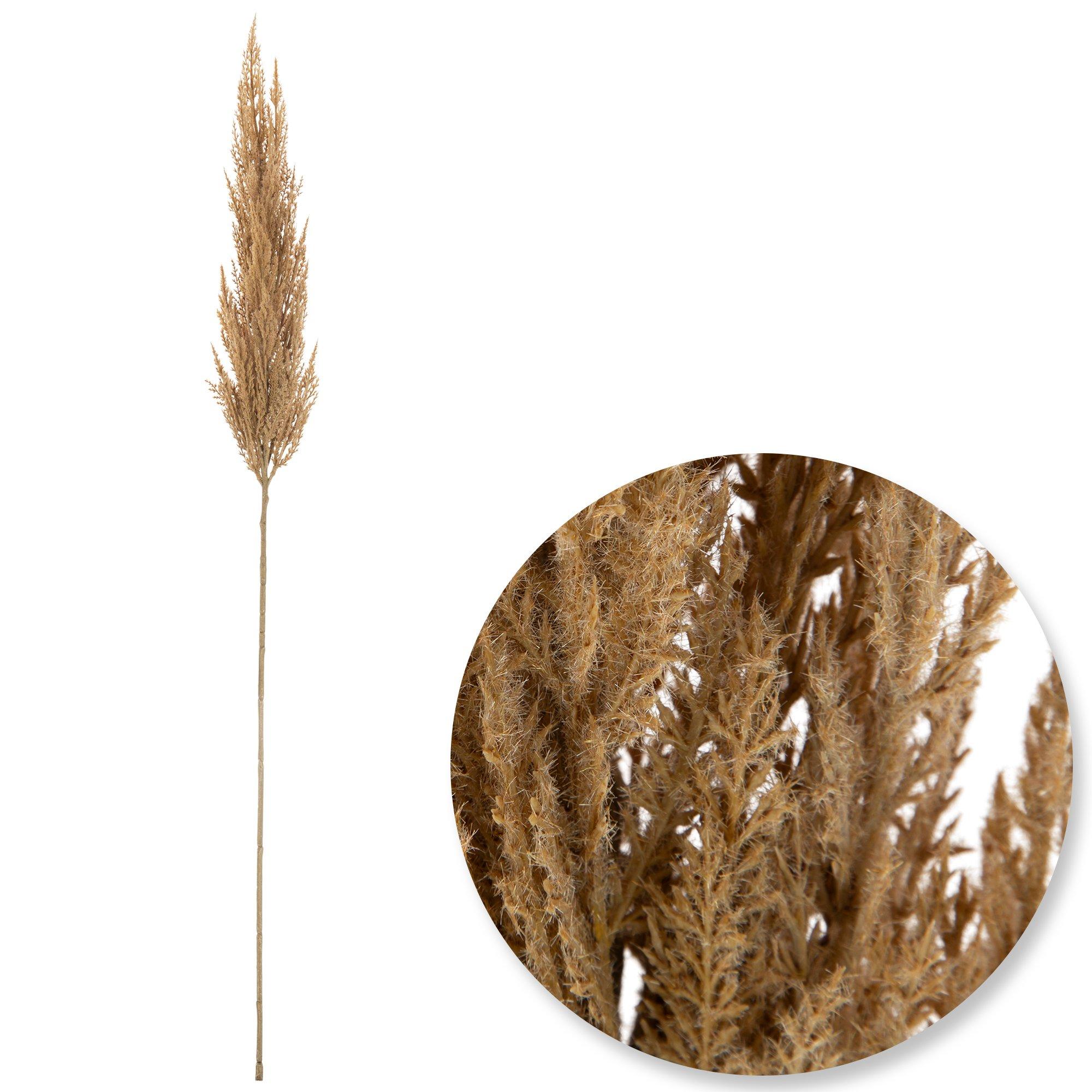 Pampas Grass Spray Hobby Lobby 5307459