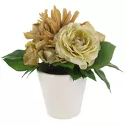 Beige Ranunculus, Hydrangea & Mum in Container