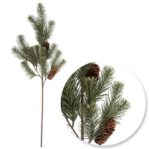 Pinecone & Pine Stem