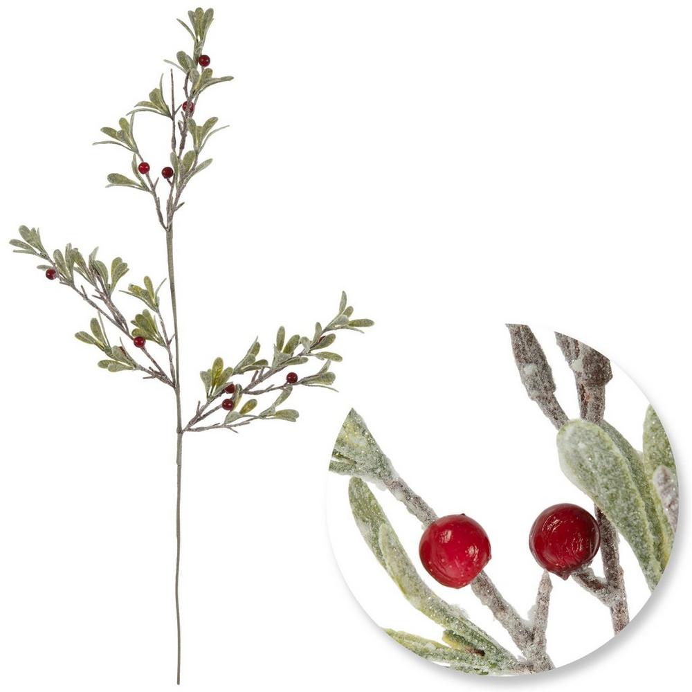 5332622-80991927-07222025-