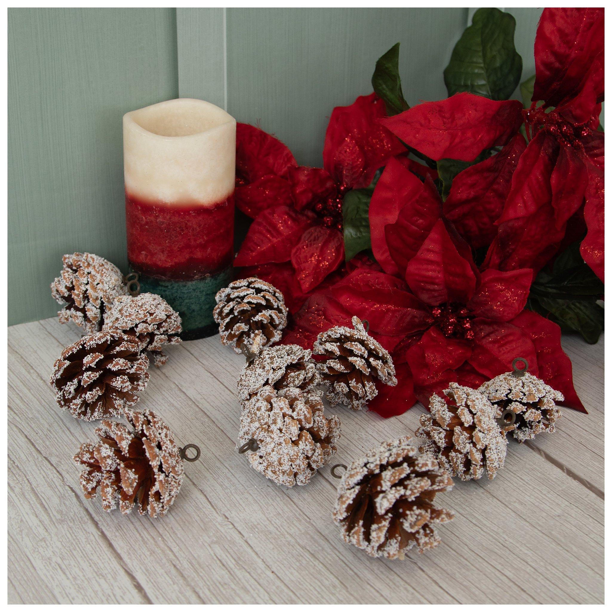 Frosted Pinecone Ornaments view 1