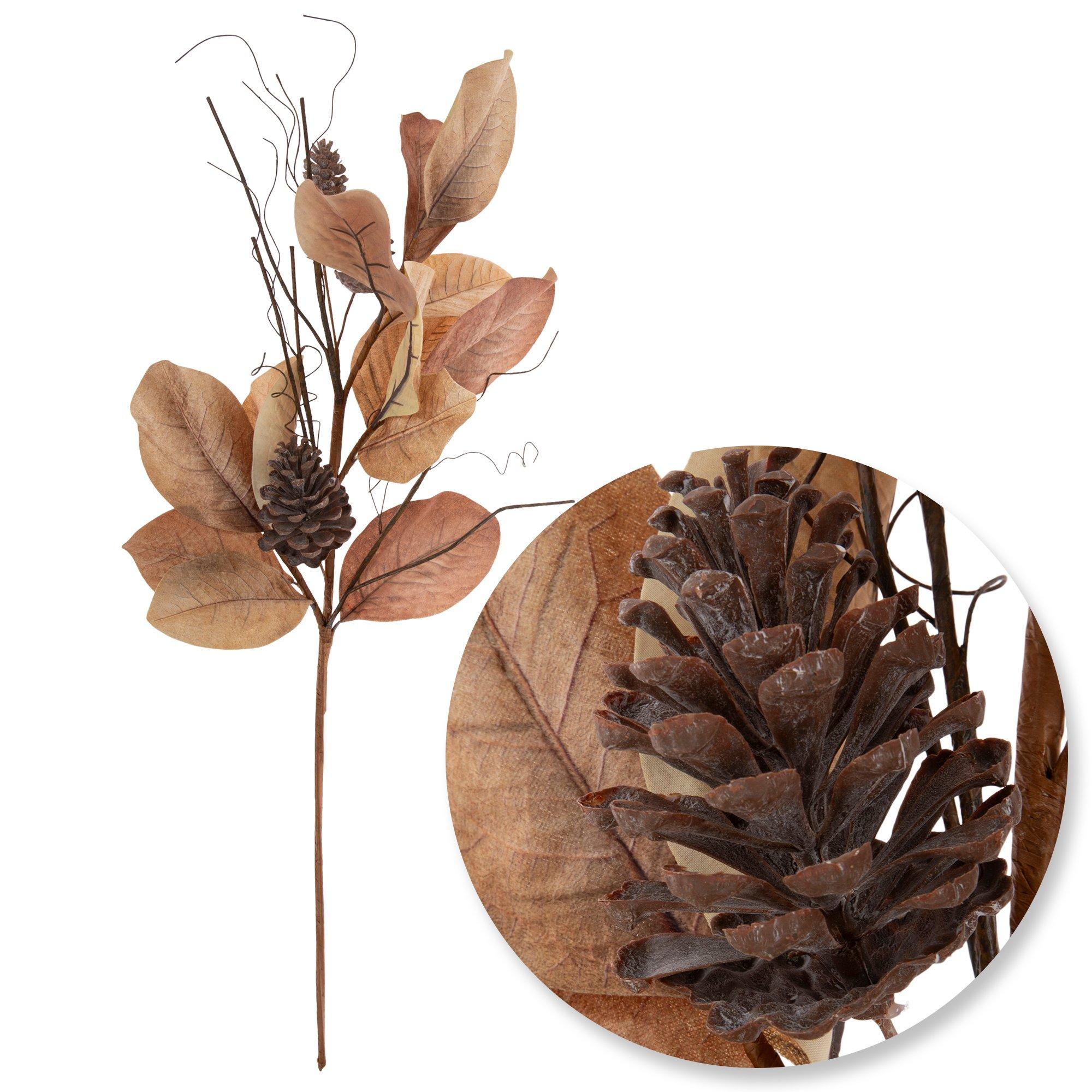 Selected Product Image