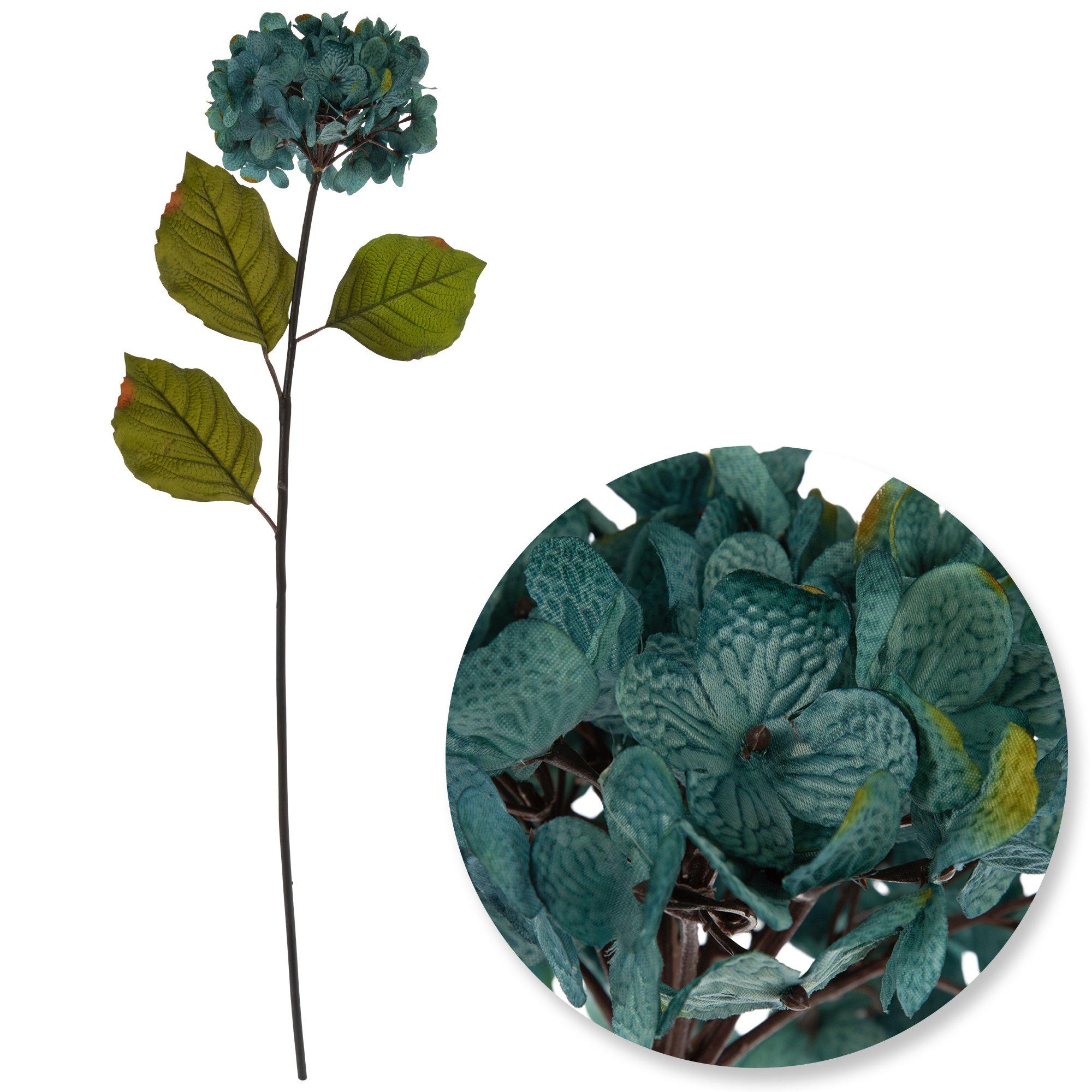 Selected Product Image