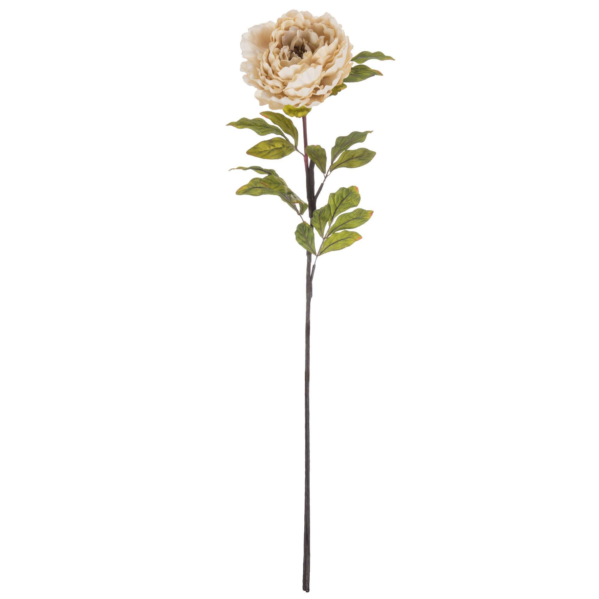 Peony Stem Hobby Lobby 534438 8231