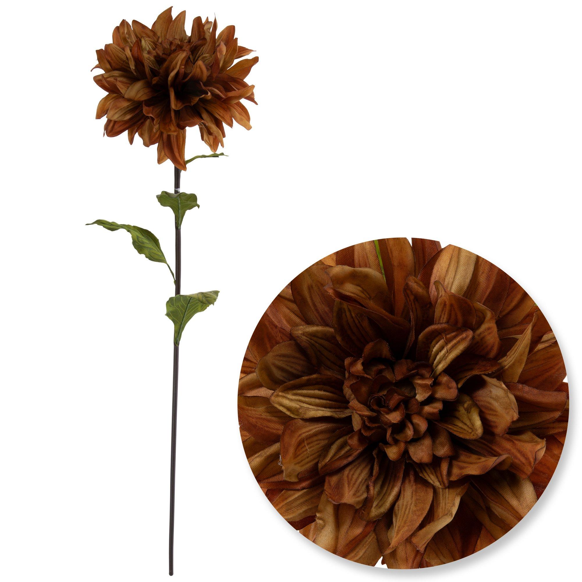 Selected Product Image