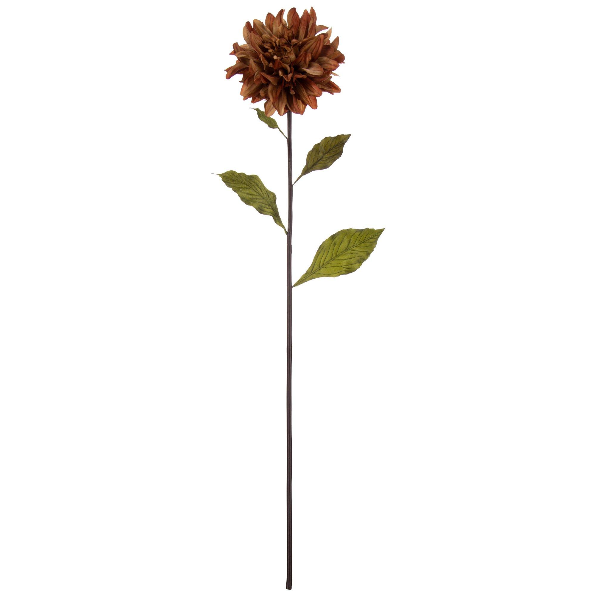 Dahlia Stem Hobby Lobby 534966