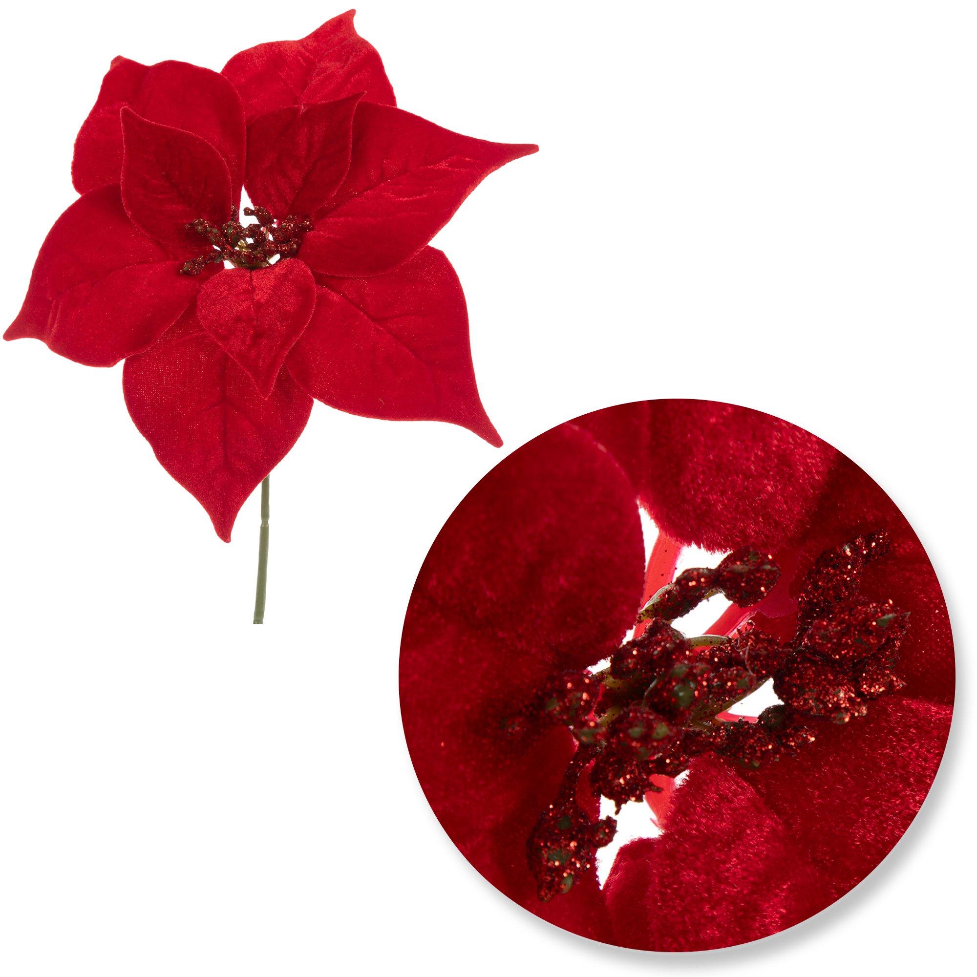 Selected Product Image