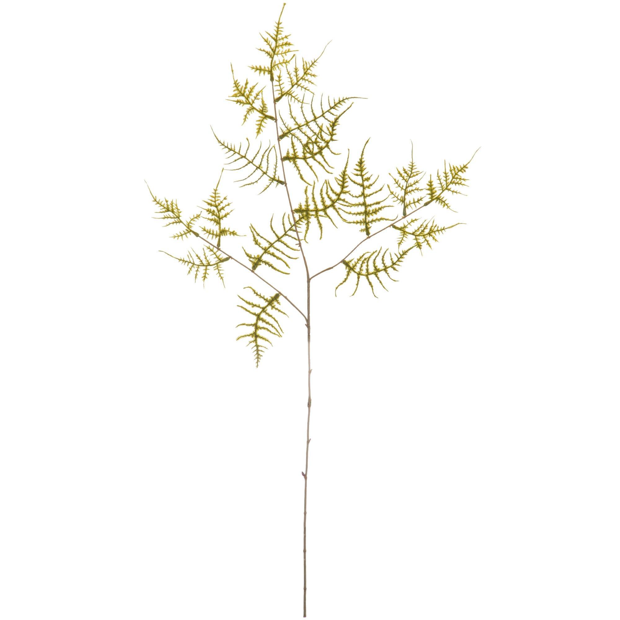 Selected Product Image
