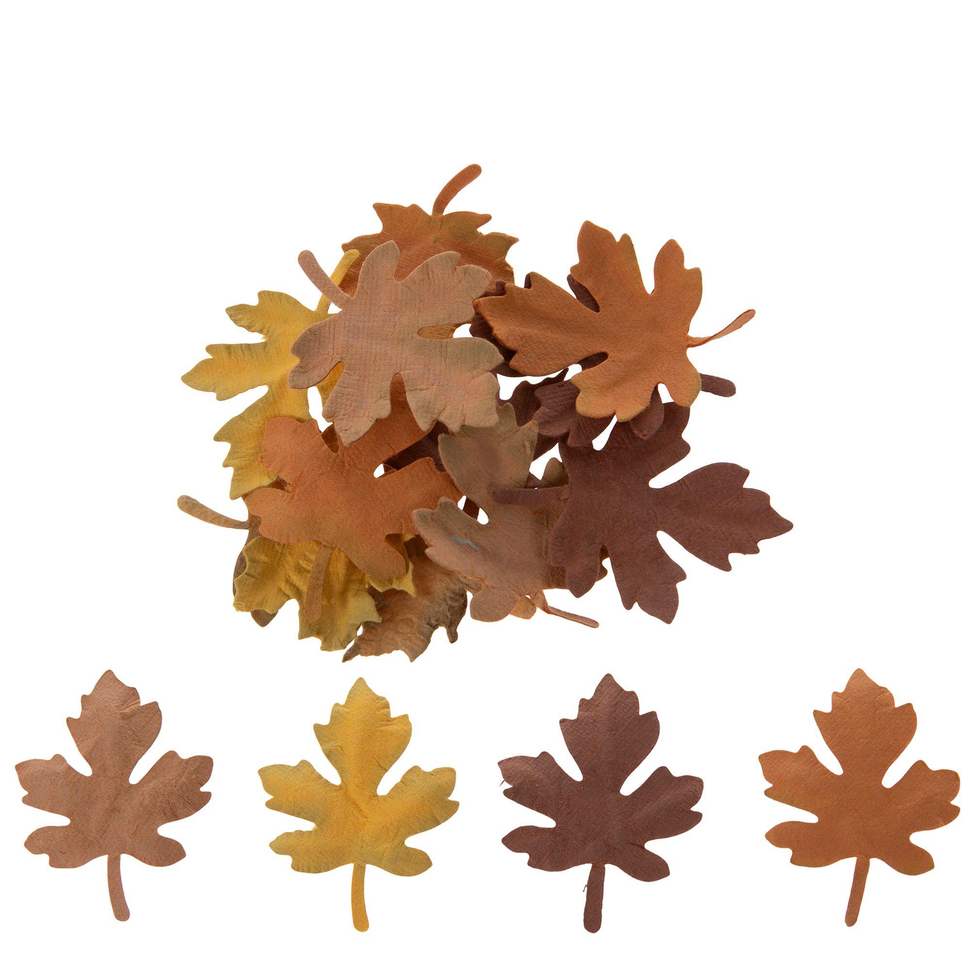 Selected Product Image