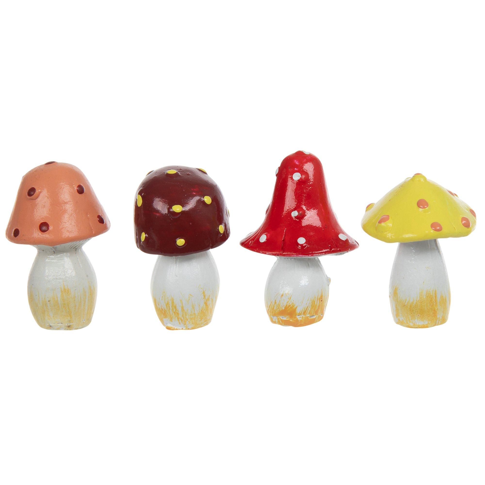 Selected Product Image