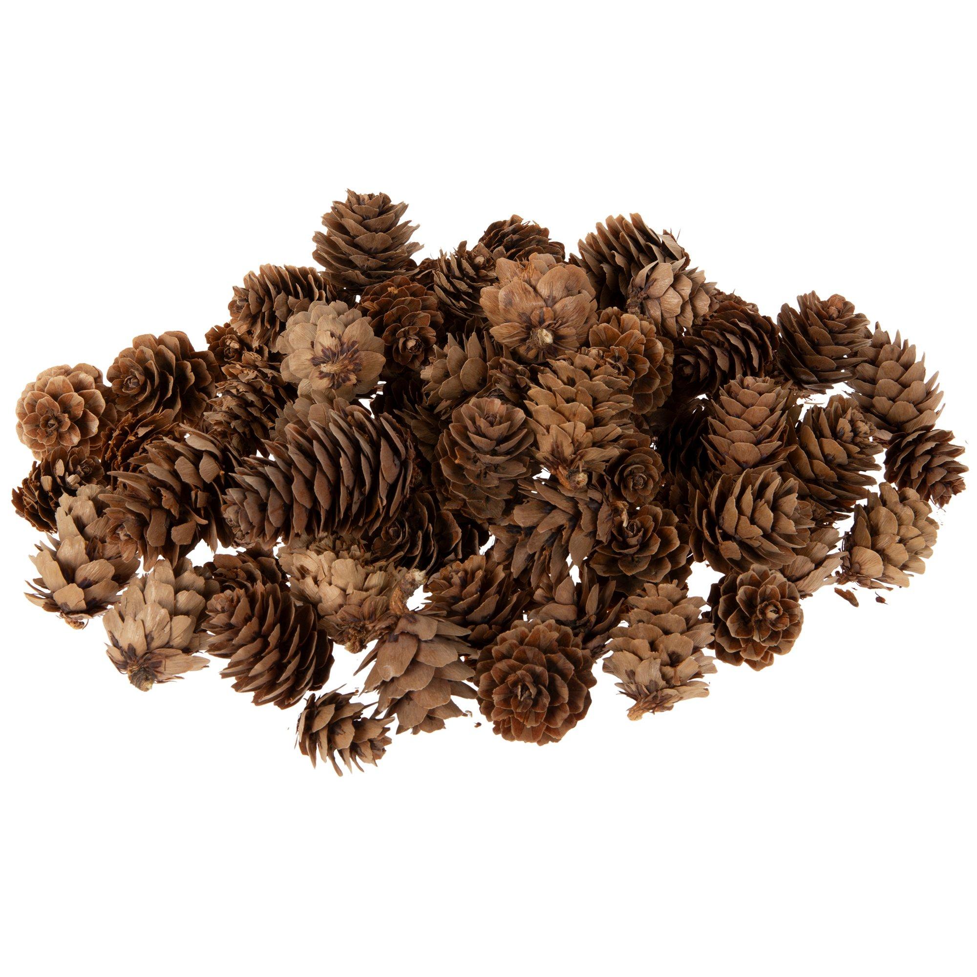 Selected Product Image