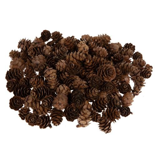 Mini Pinecones