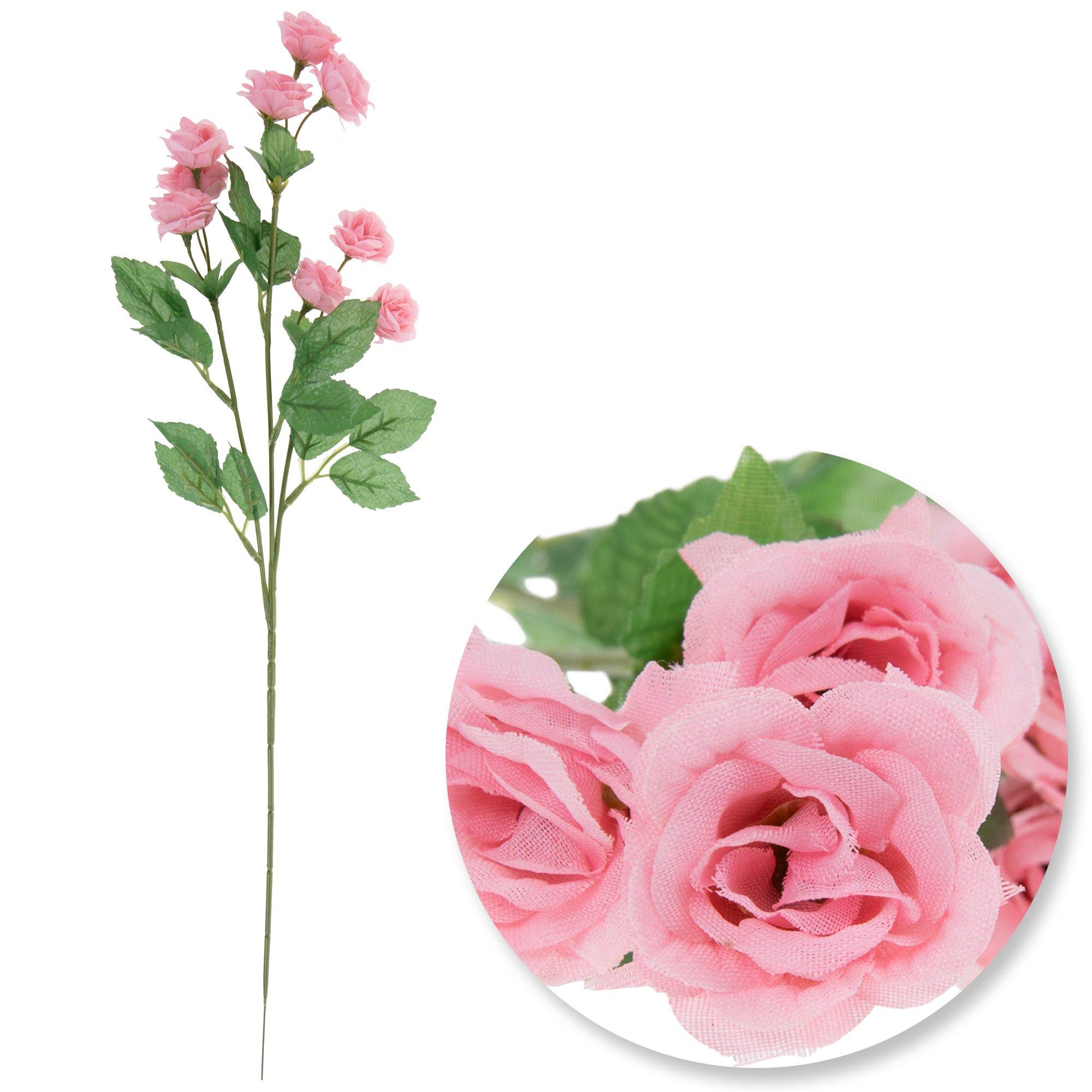 Selected Product Image