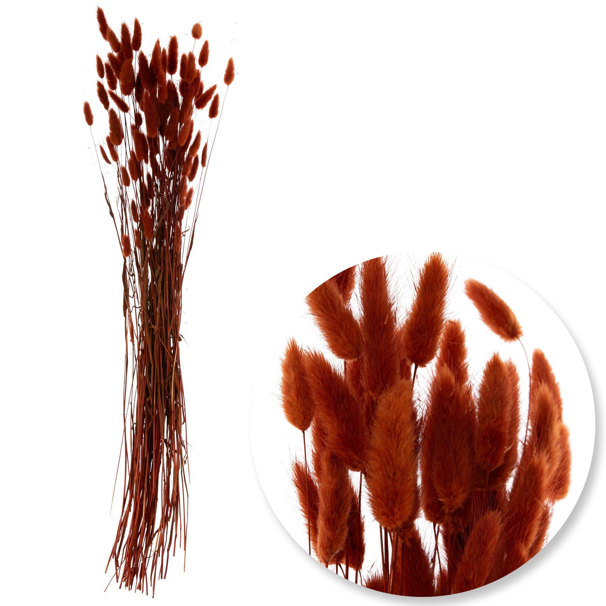 Bunny Tails Bundle Hobby Lobby 5541784