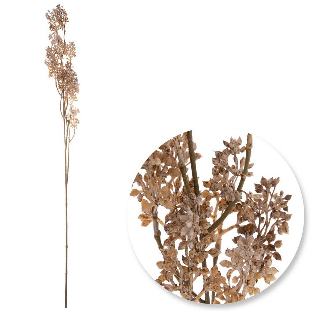 Cream Seed Spray