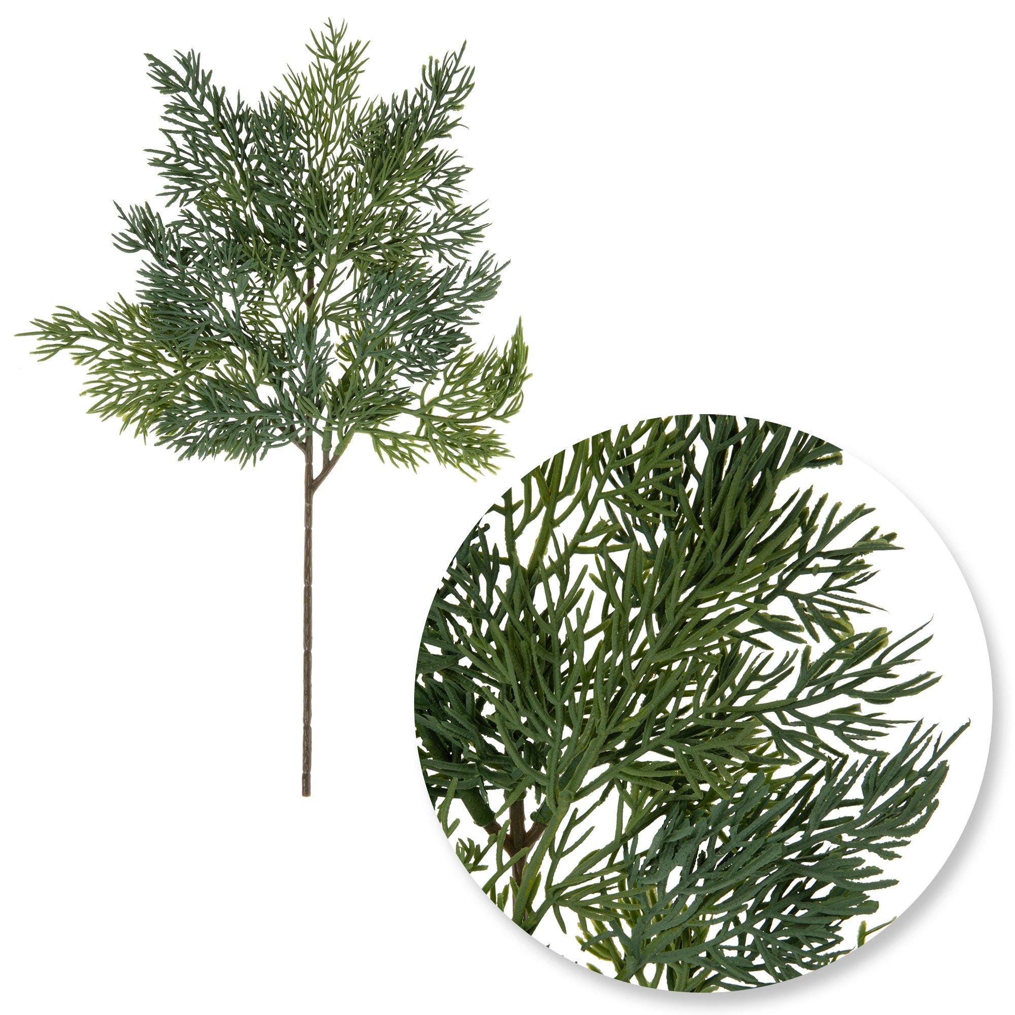 Pine Spray view 1