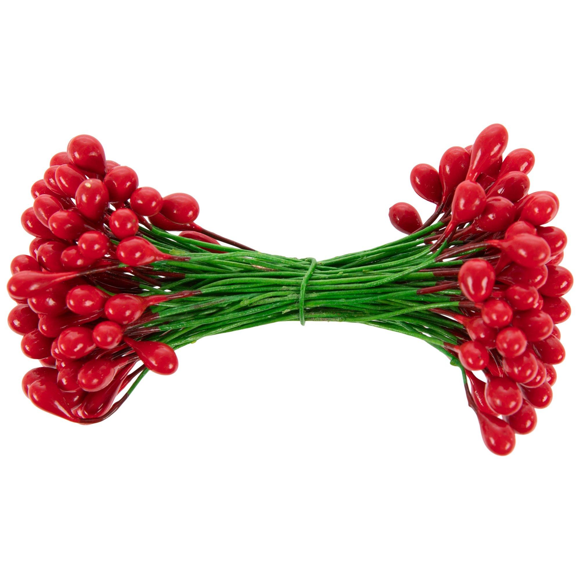 Red Berries for Holiday Decorations - UF/IFAS Extension Orange County