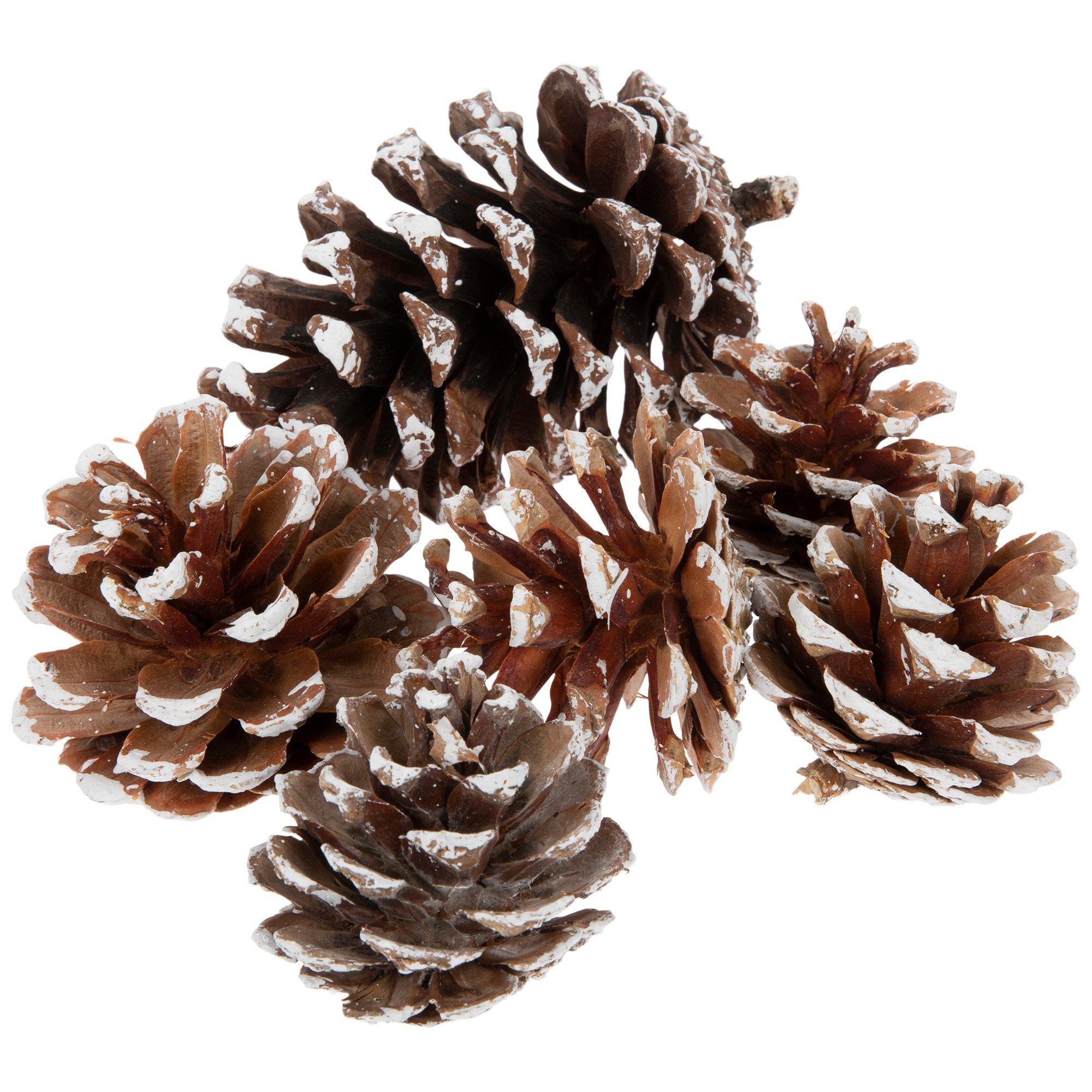 Pinecones | Hobby Lobby | 5606041