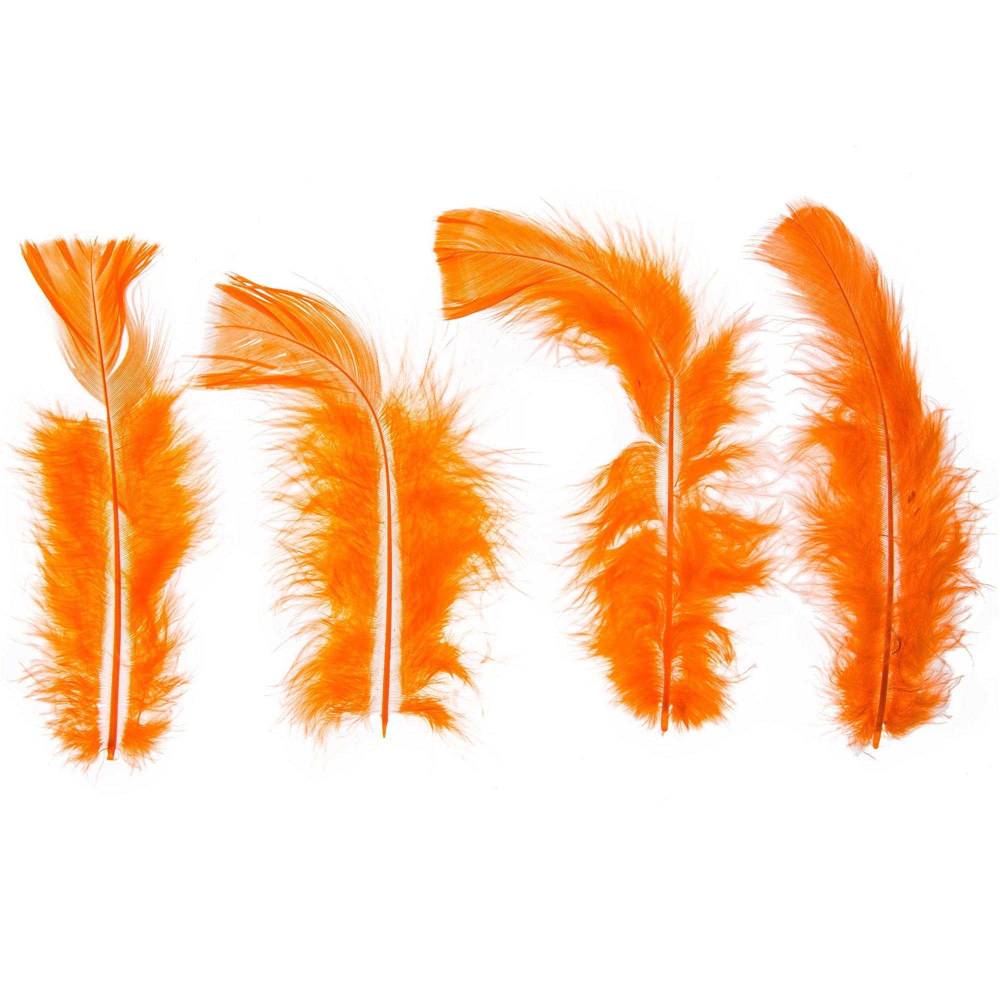 Feather Fluff Hobby Lobby 561761