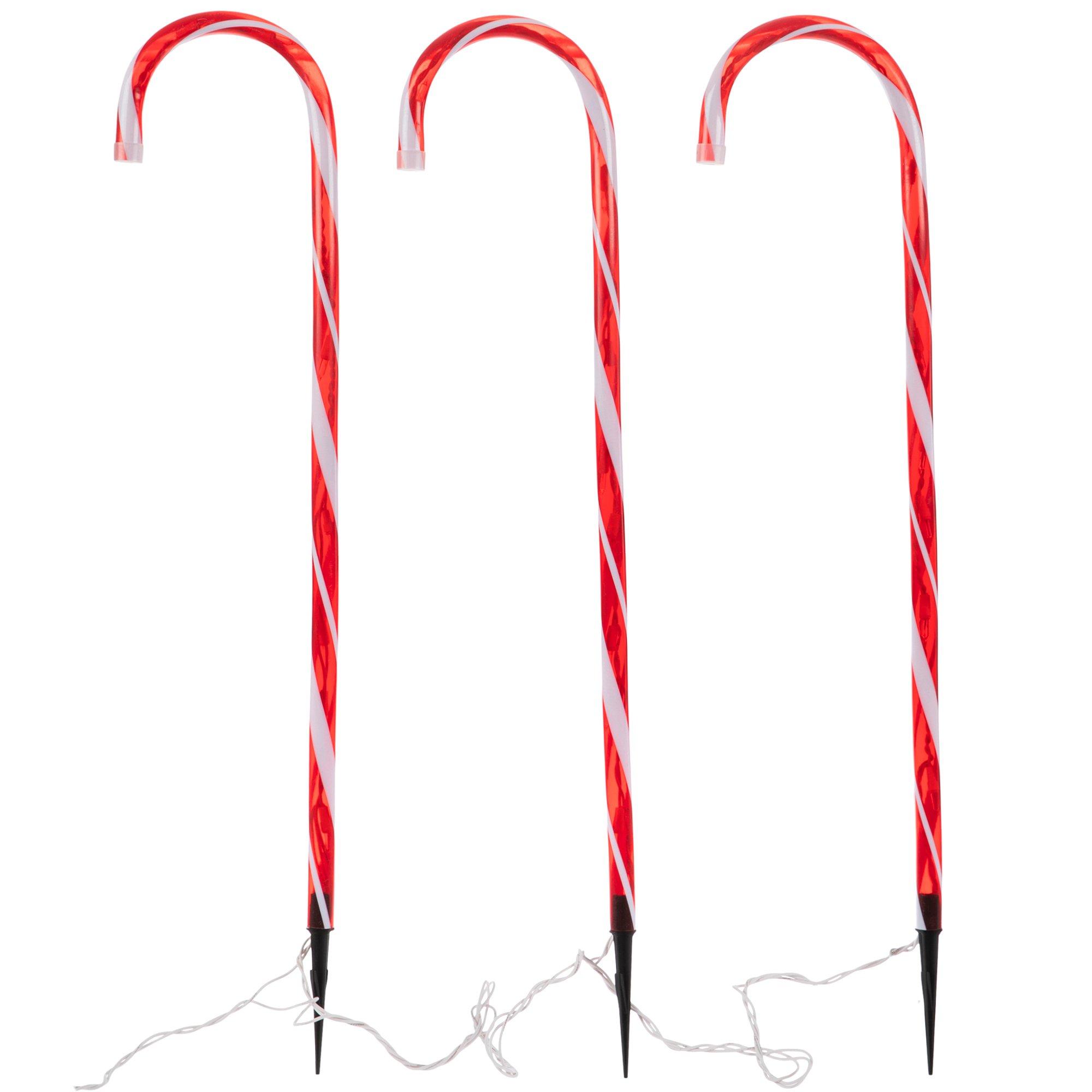 Selected Product Image