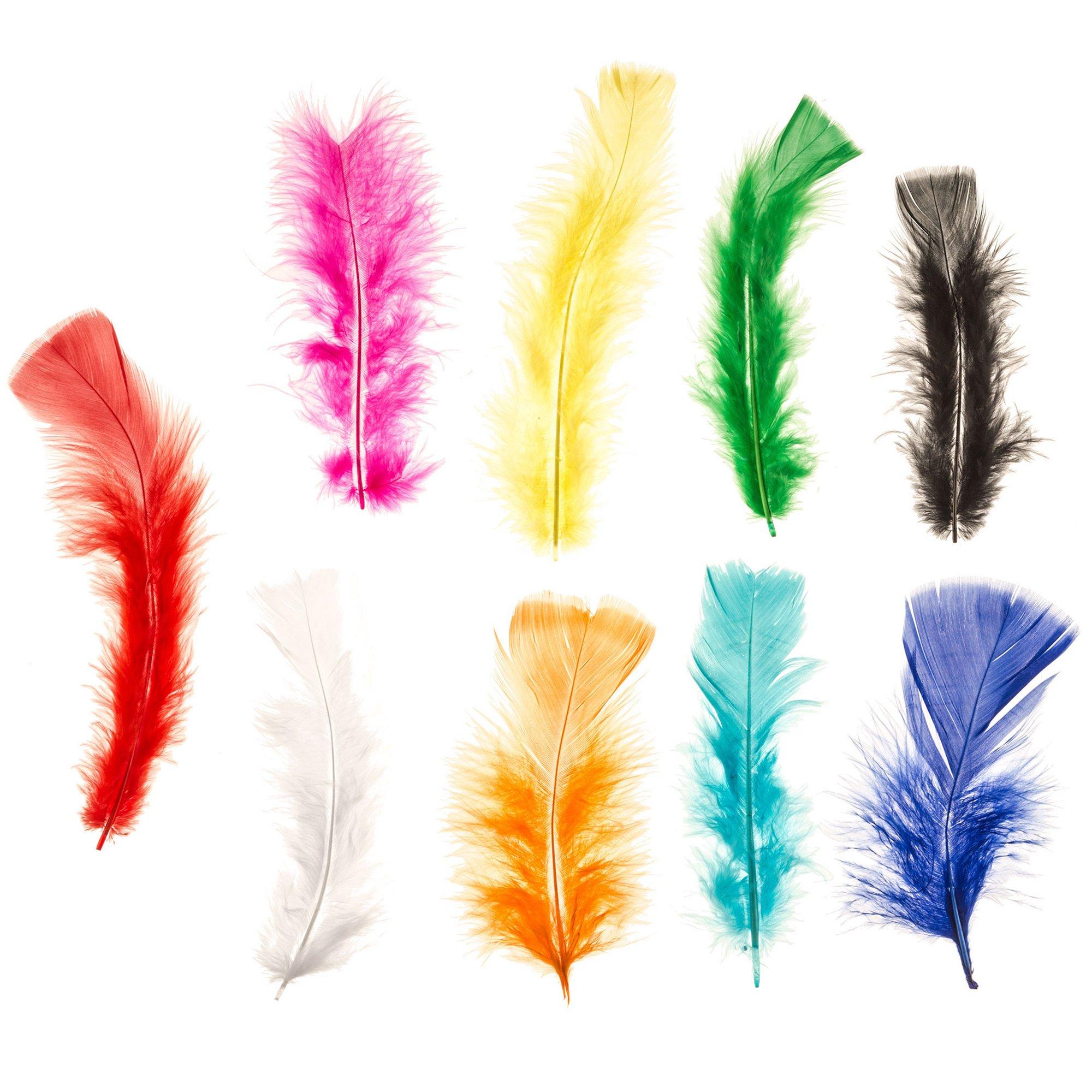 Fluffy Craft Feathers Assorted Coloured for Kids Collage Bright