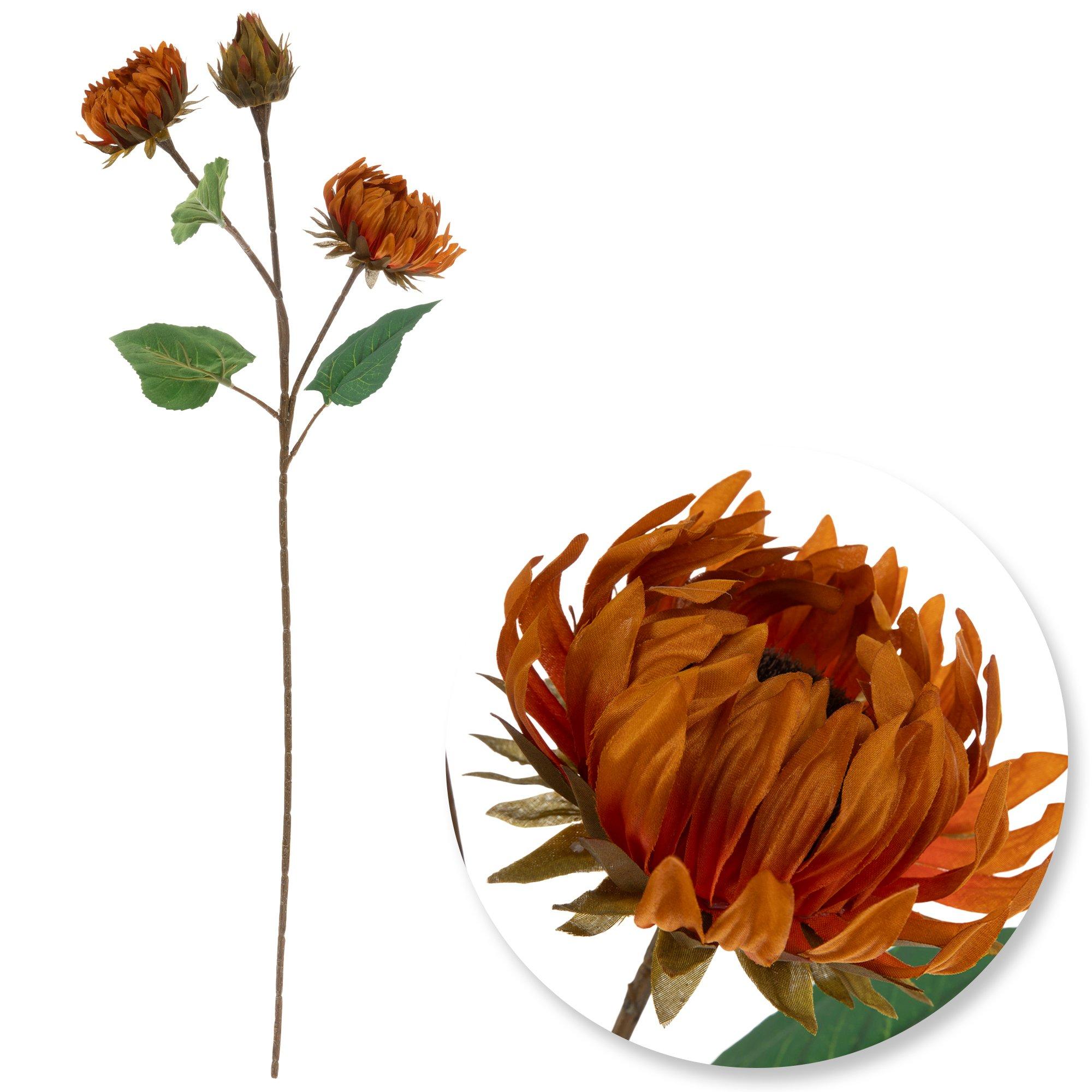 Selected Product Image