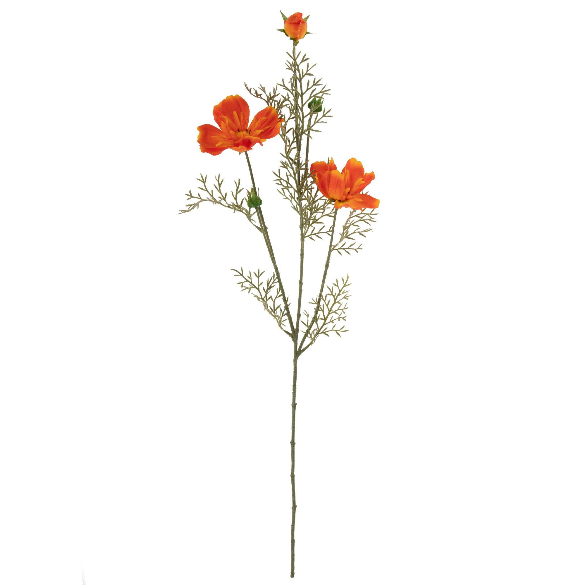 Orange Cosmo Spray | Hobby Lobby | 5689336