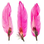 Pheasant & Goose Feathers