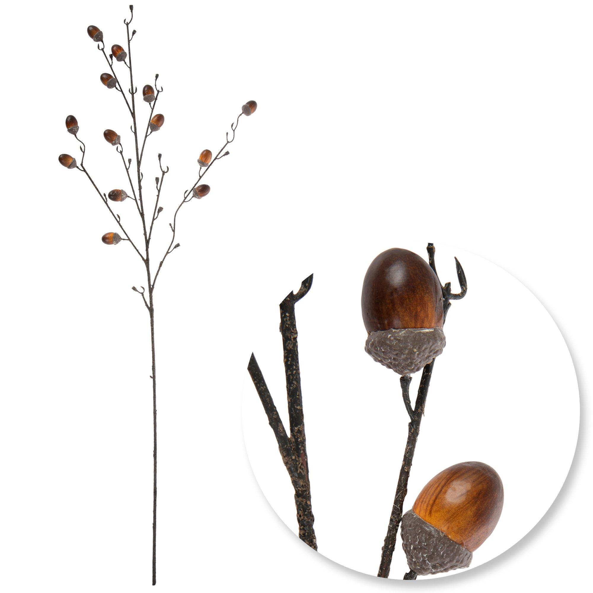 Selected Product Image