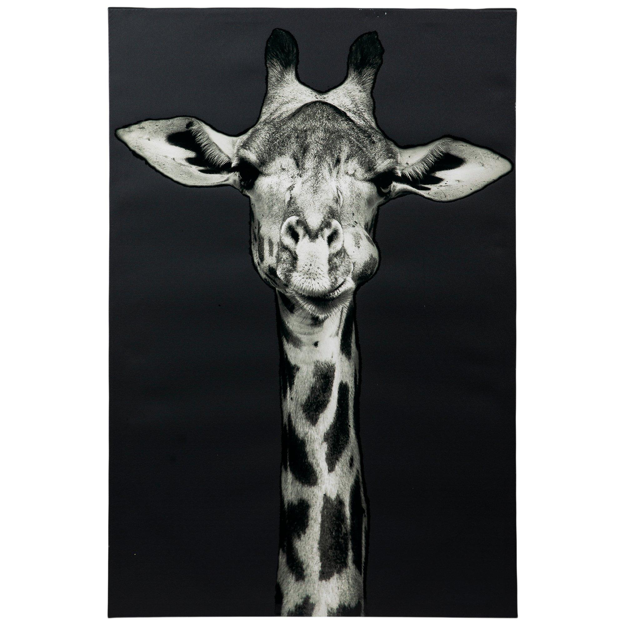 giraffe pictures black and white