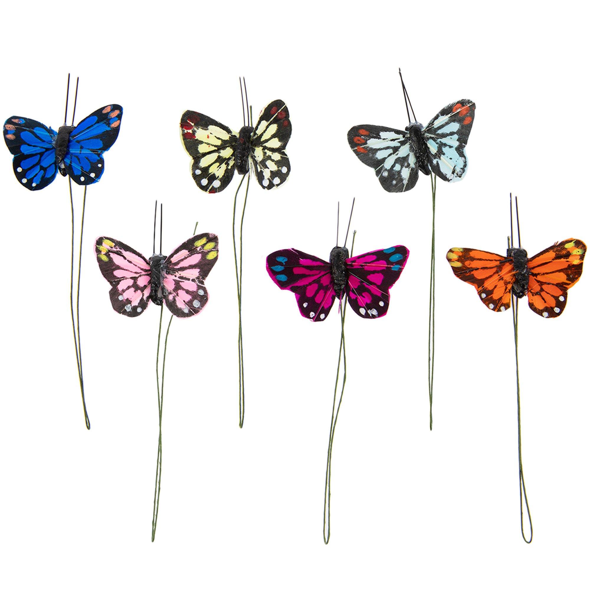 Butterfly Picks Hobby Lobby 5772348