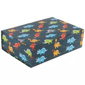 Colorful Dinosaurs Box