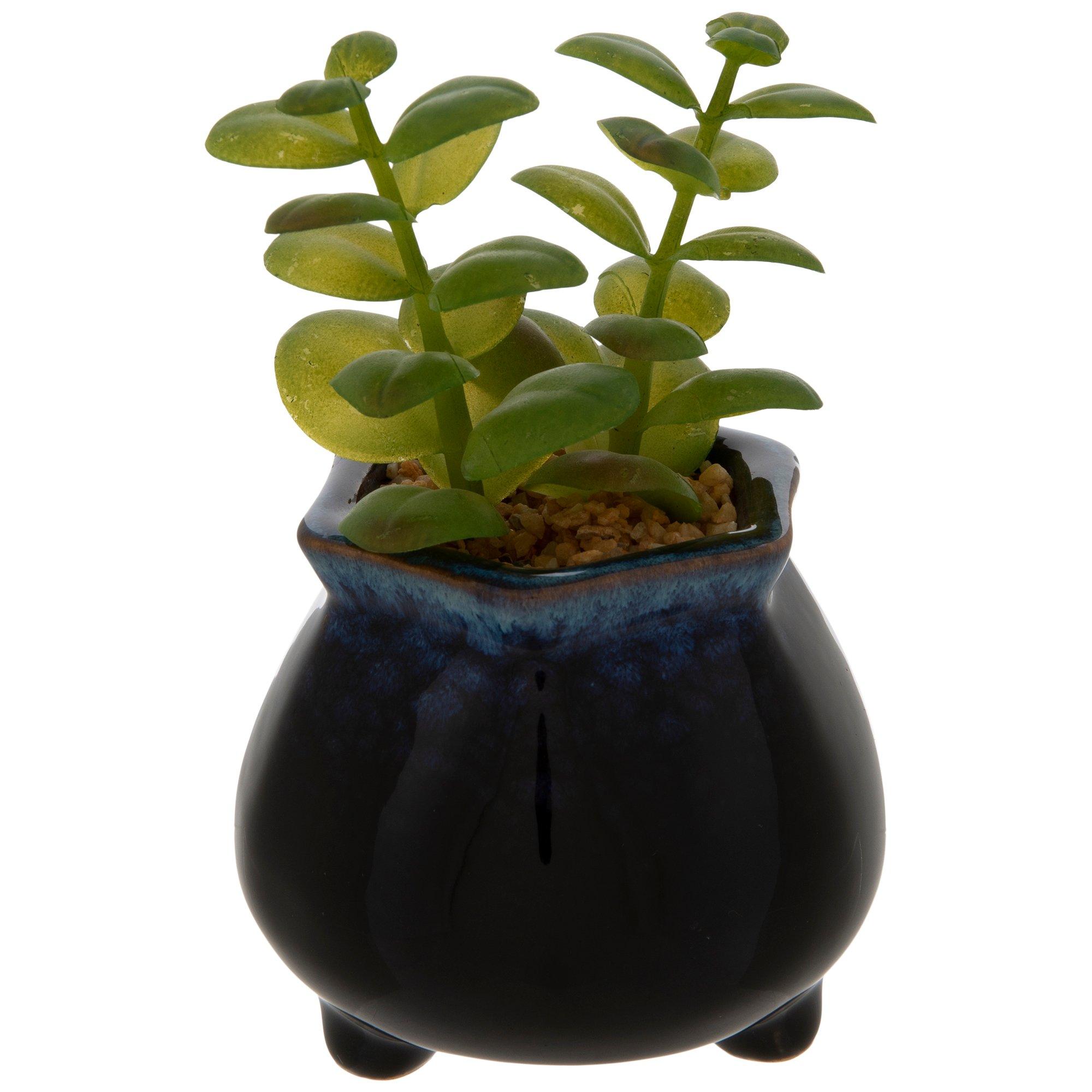 Succulent In Navy Pot Hobby Lobby 5786215