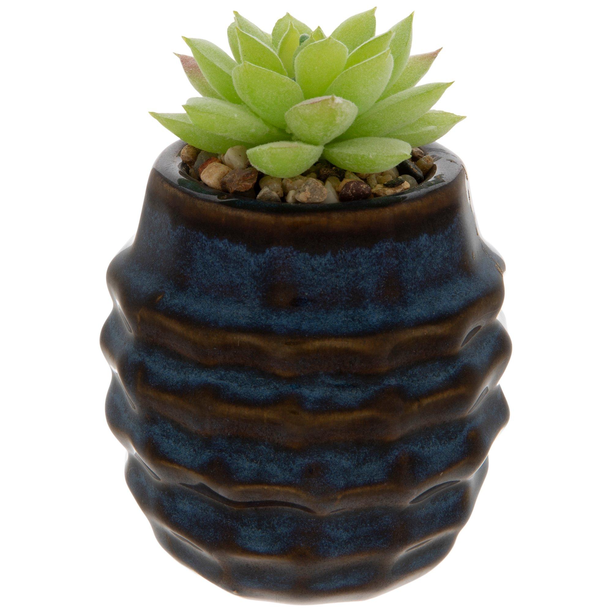 Succulent In Navy & Brown Pot Hobby Lobby 5786272