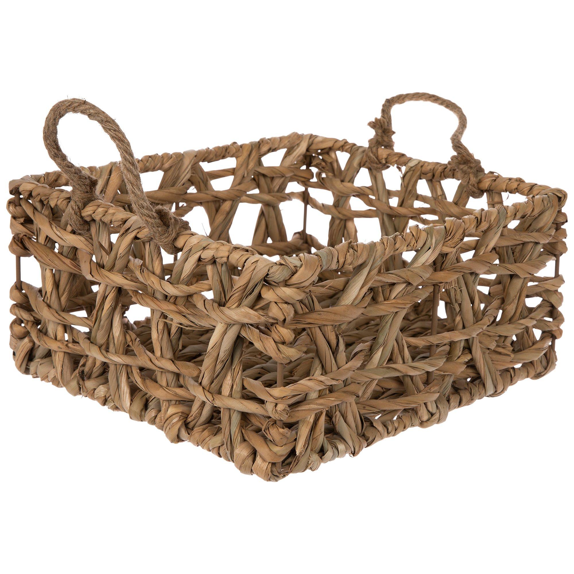 Sand Dollar Basket, Hobby Lobby