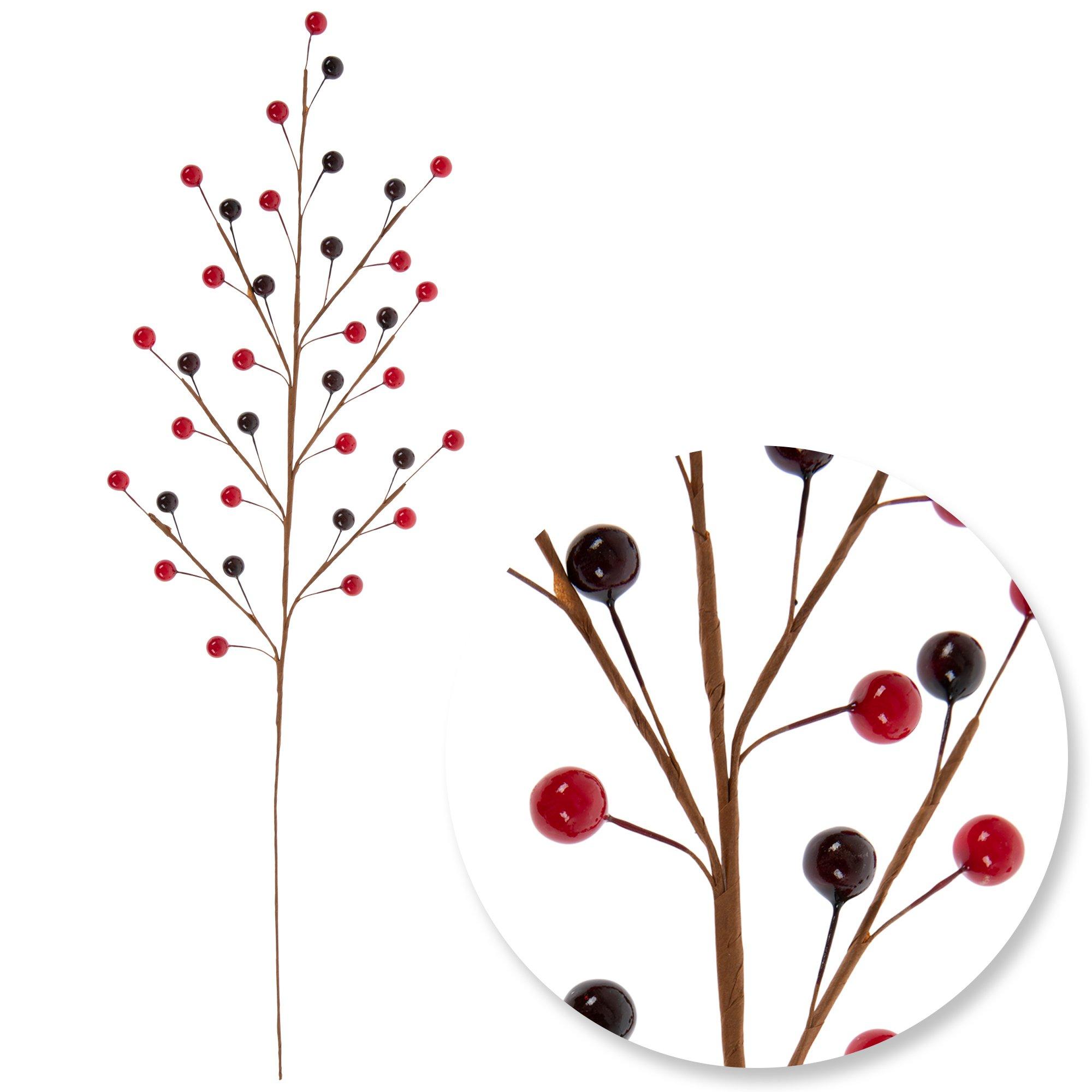 Selected Product Image