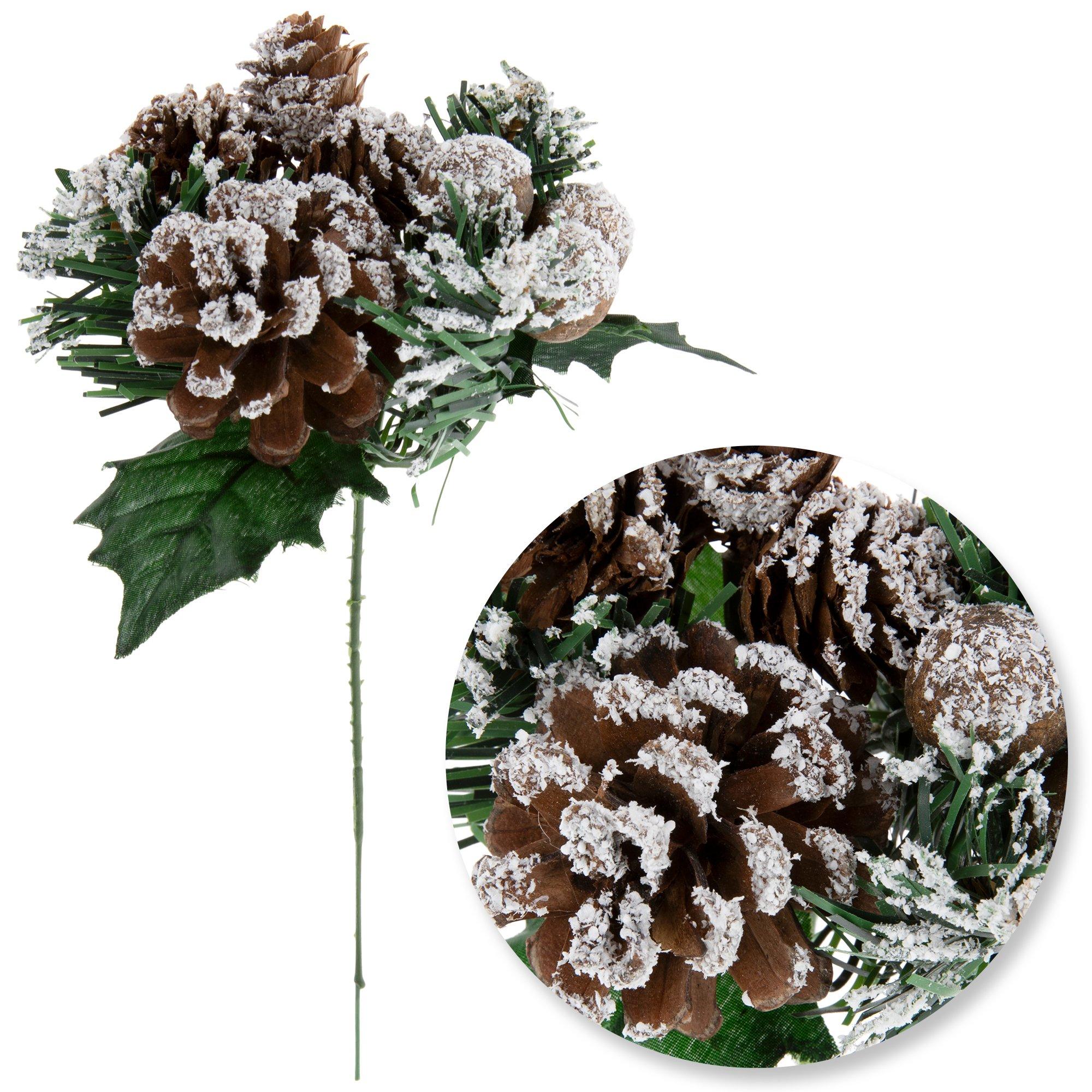 Selected Product Image