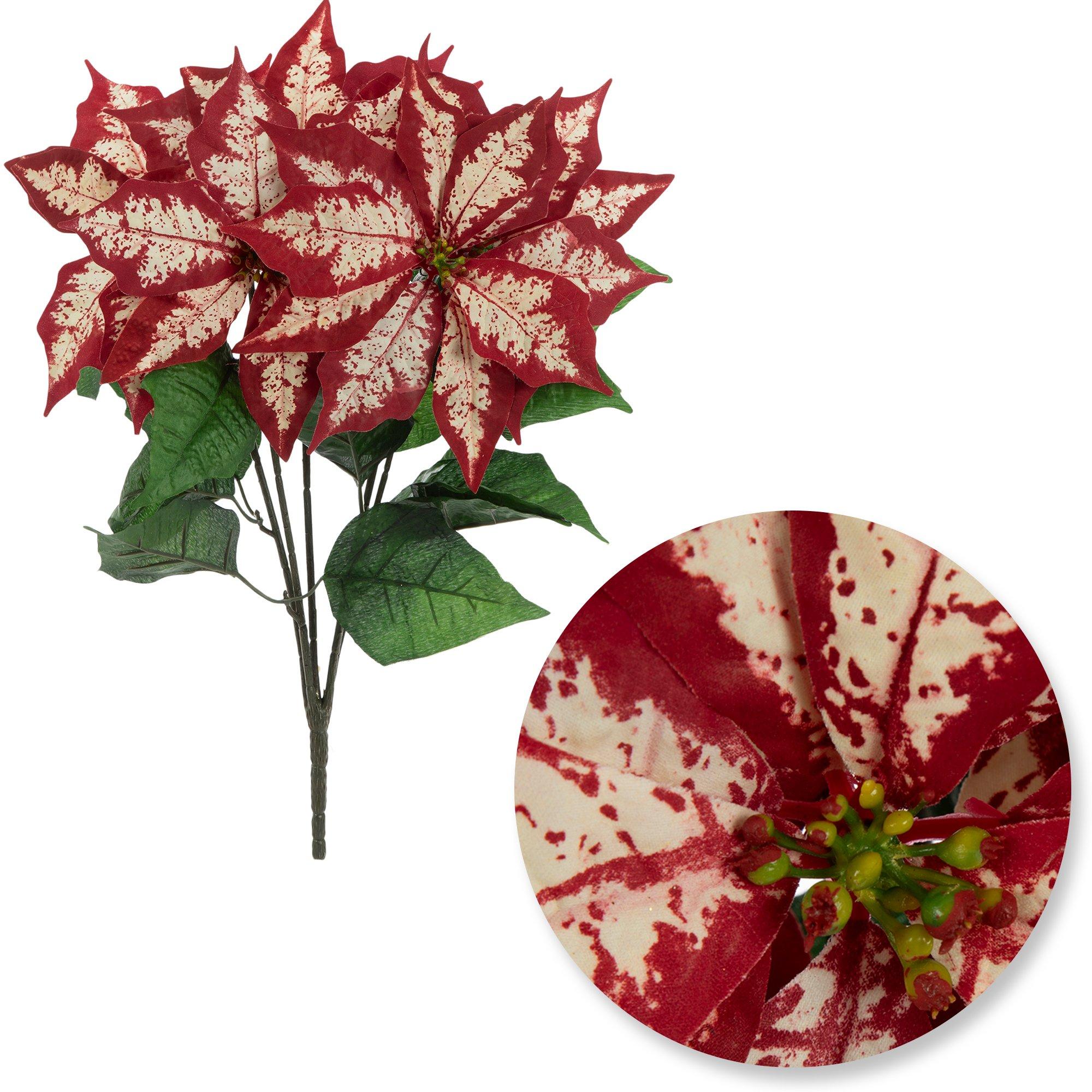 Selected Product Image