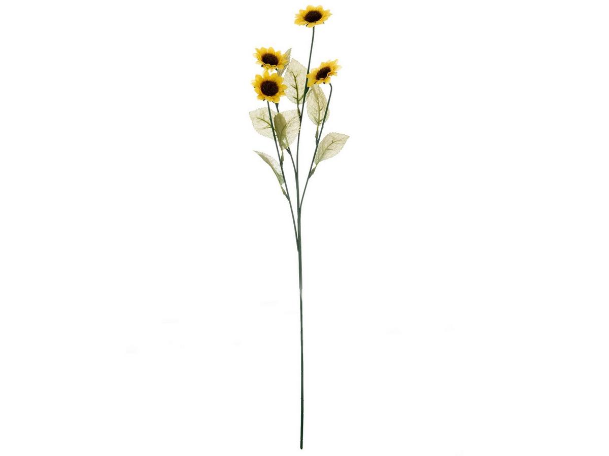 sunflower 2本 Buy Sunflower Moss Garden Wall Art | Modern Brick Haus