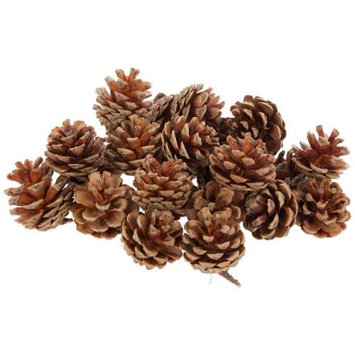 Pinecones