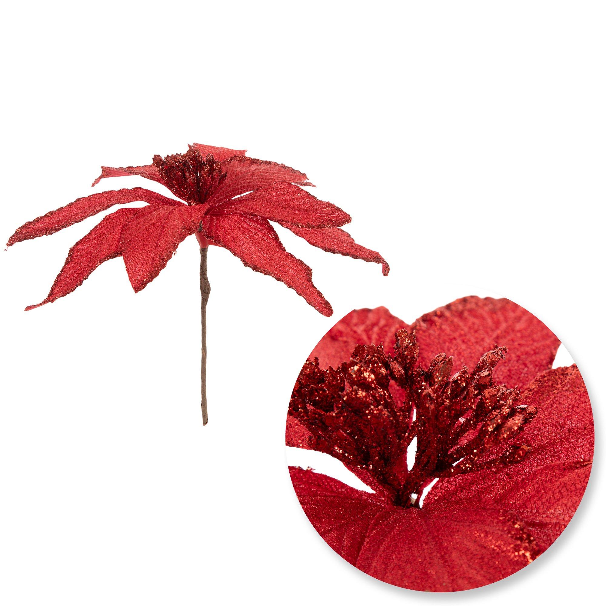 Selected Product Image