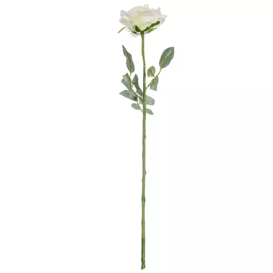 Flower with stem