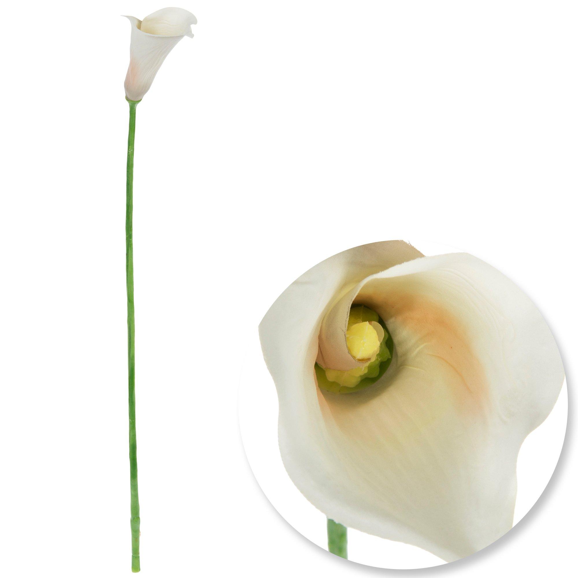 Calla Lily Stem