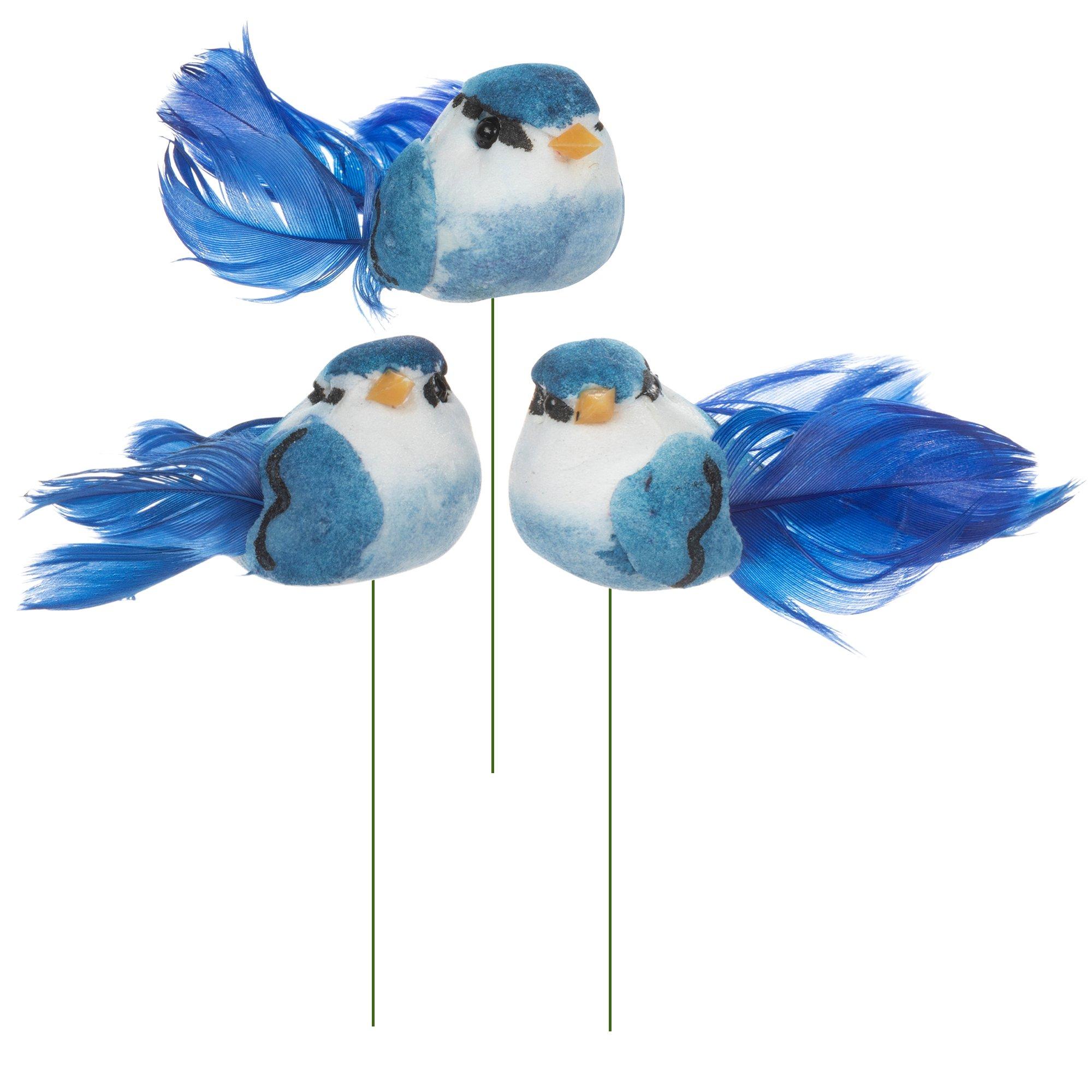 Feather Birds Hobby Lobby 587246
