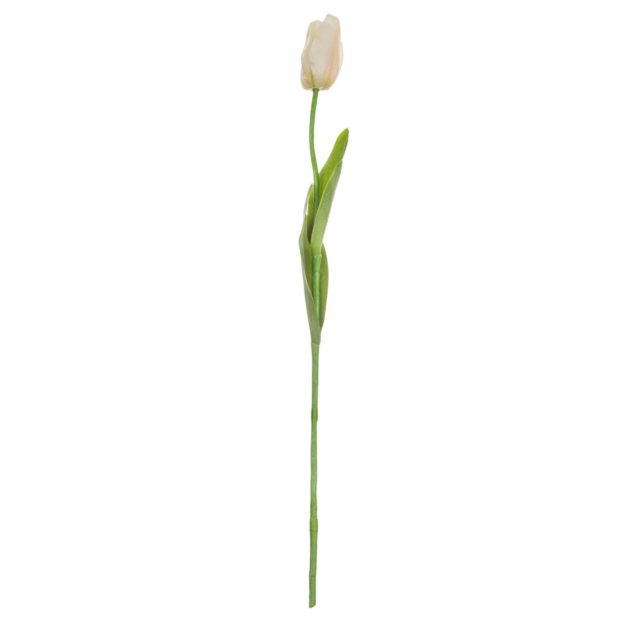 Garden Tulip Stem Hobby Lobby 587451