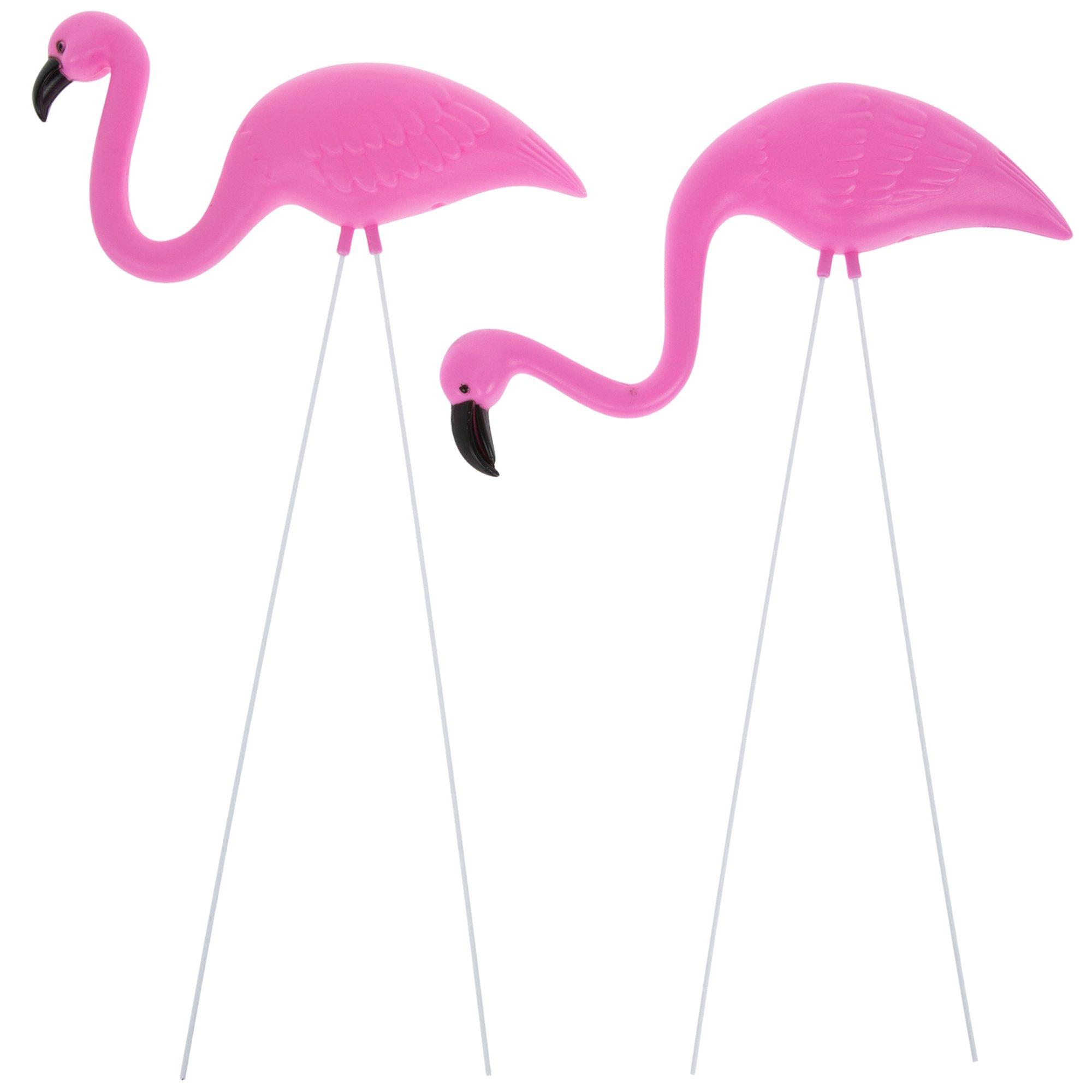 5900048-80918458-02272025-IMGSET