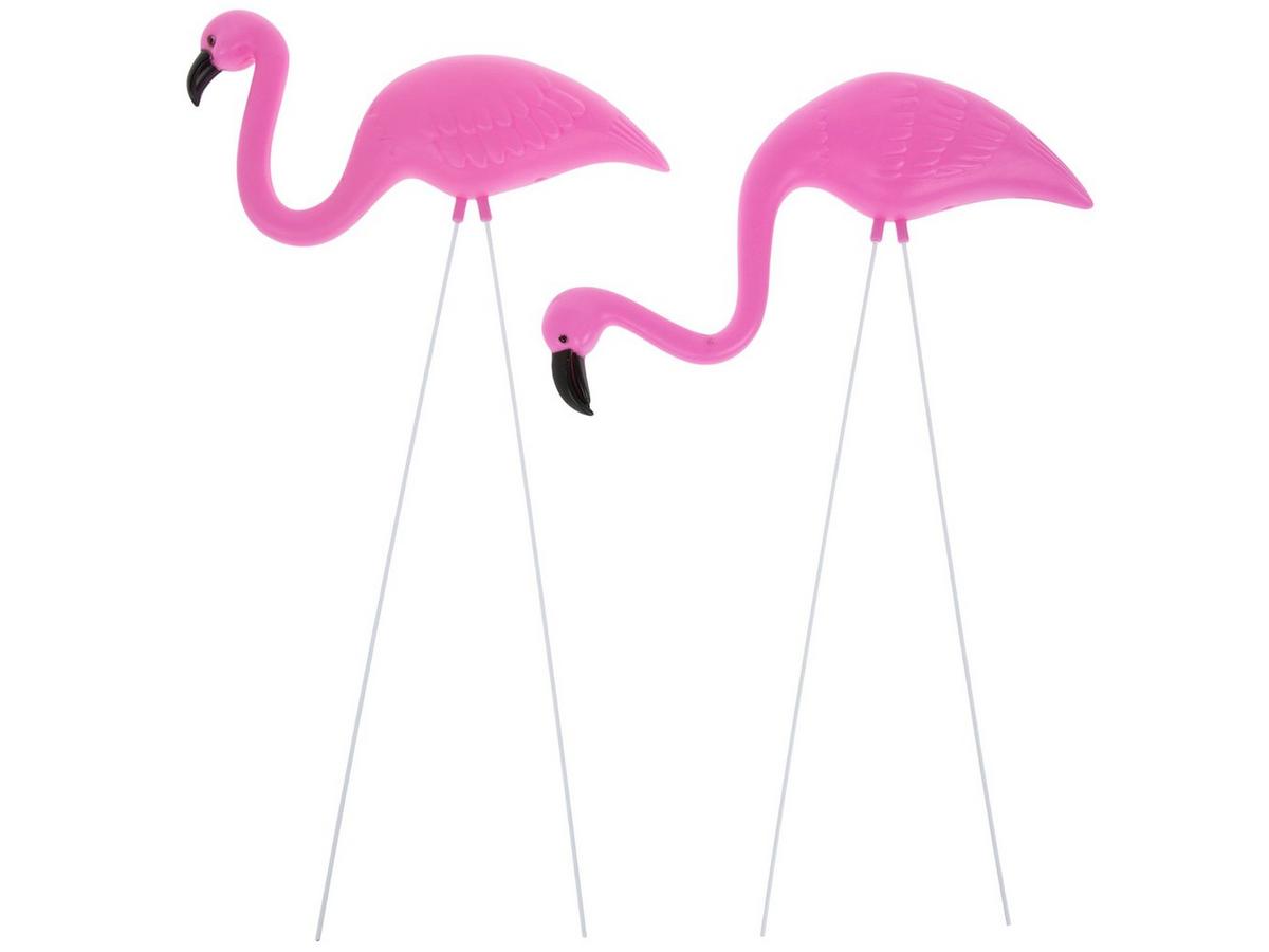 5900048-80918458-02272025-